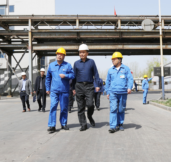 洛陽(yáng)市副市長(cháng)賀敏到萬(wàn)基控股集團調研
